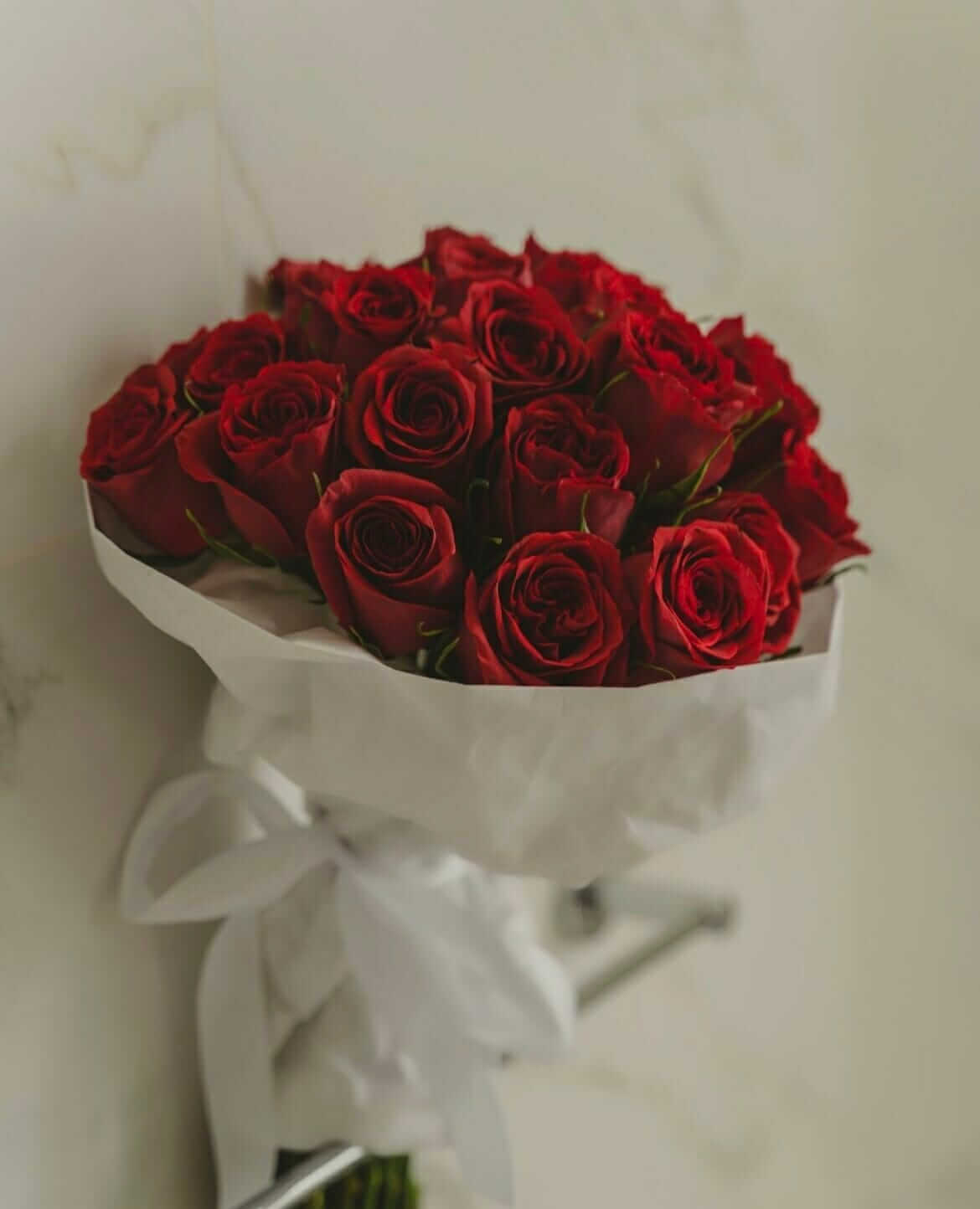 20 red roses -white wrapping