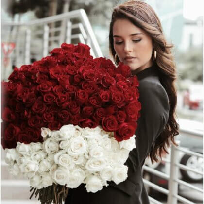 150 red and white roses as a bouquet