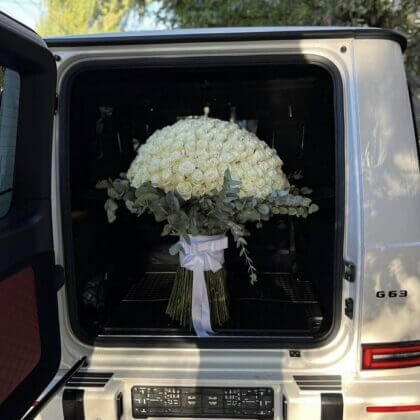 300 white roses surrounded by pennygum