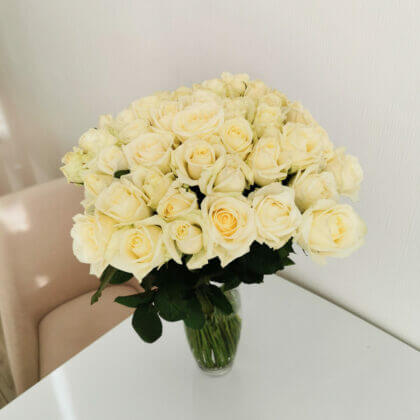 Peach avalanche roses