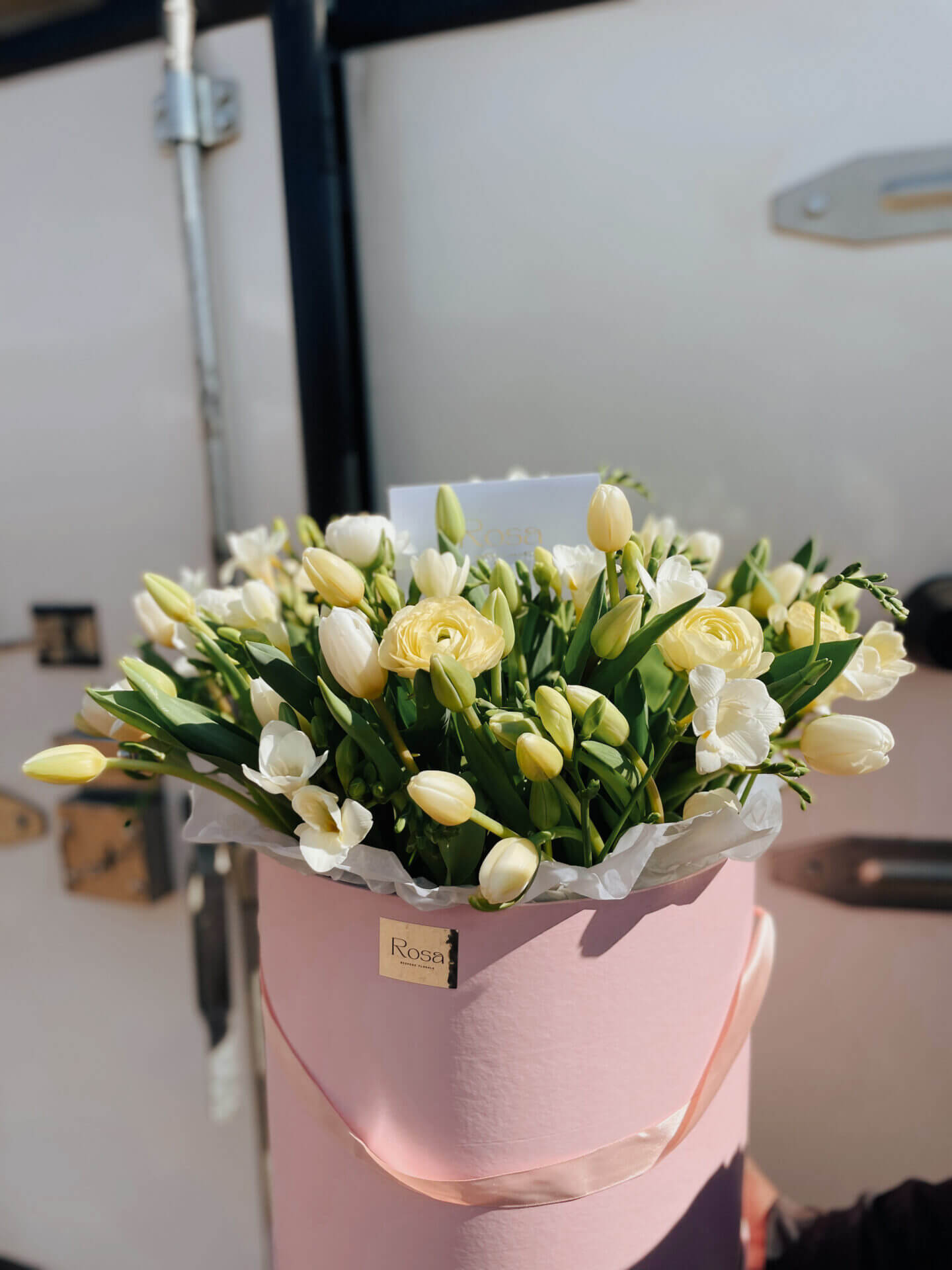 100 tulips in a pink box- one week lead time required to import
