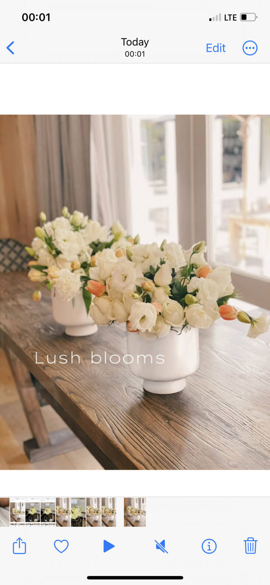 Lush blooms- excludes vase