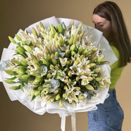 100 lilies in white wrapping  (white lilies will be substitute with pink if white not available on the day of delivery)