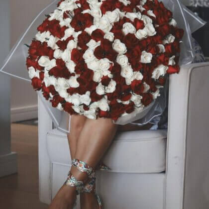 300 red and white roses mixed as a bouquet (white wrapping)