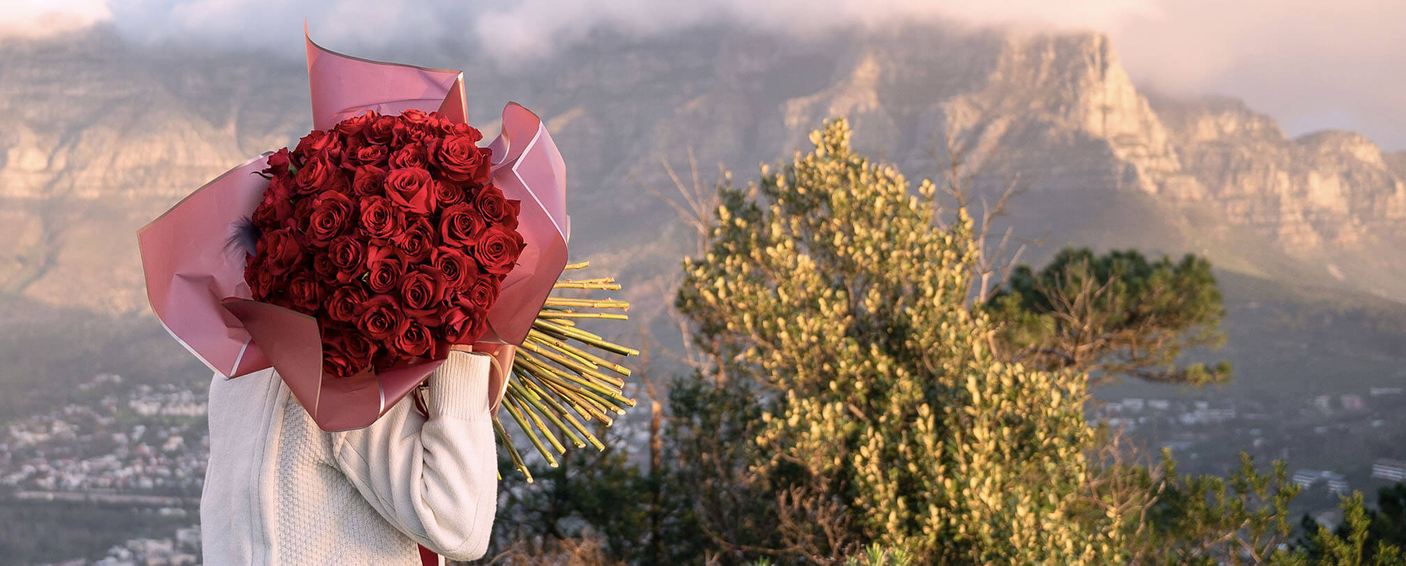 100 red roses - Image 2
