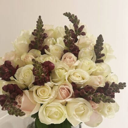 40 dreamy roses includes vase