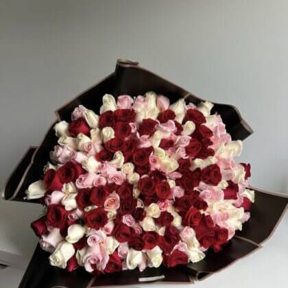 Red, white & light pink roses in black wrapping - 150 stems