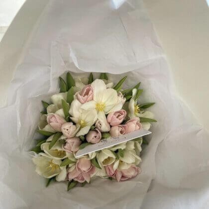 50 pink/white tulips