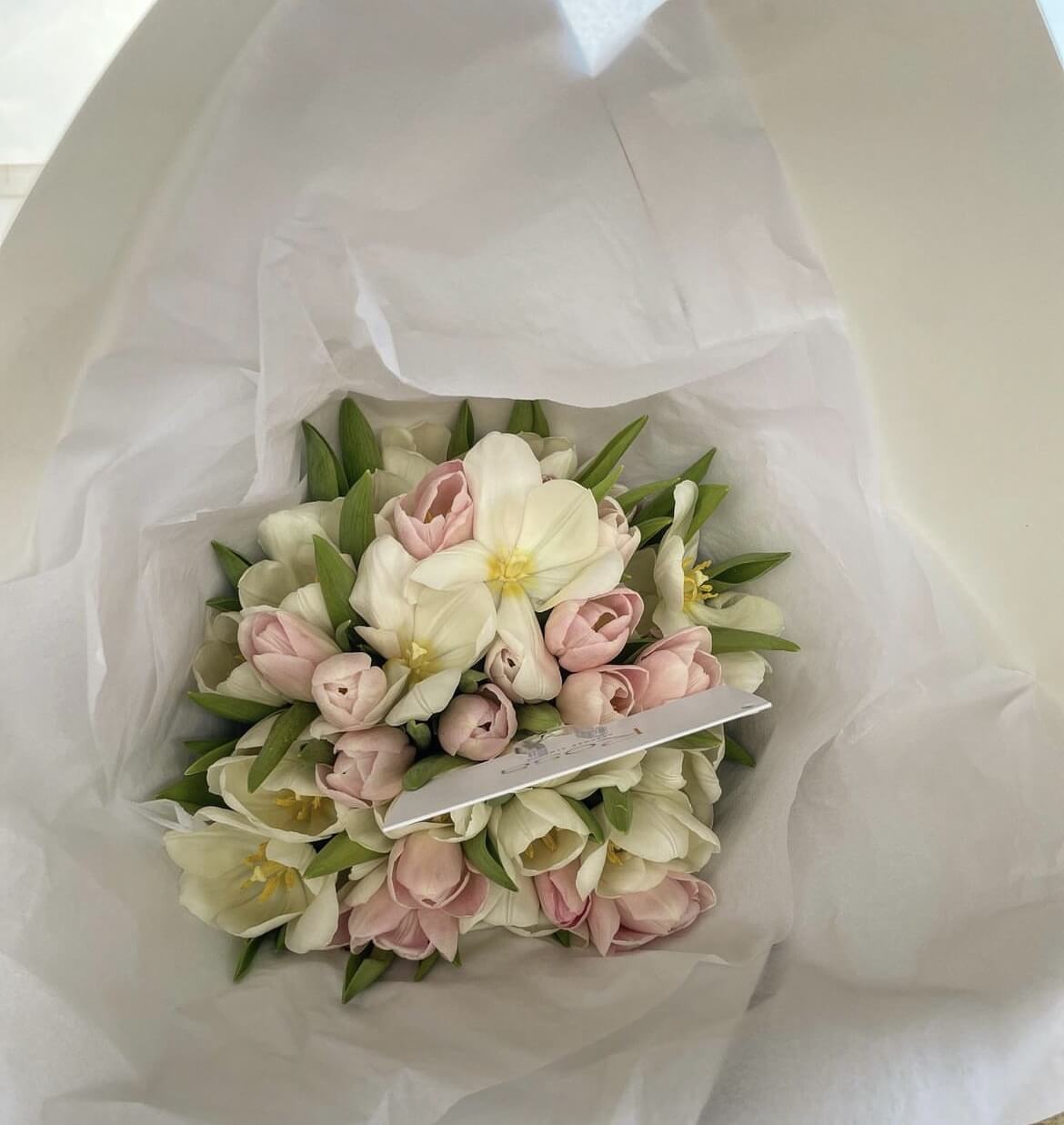 50 pink/white tulips