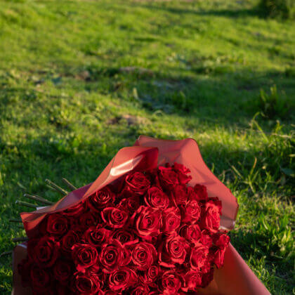 100 red roses