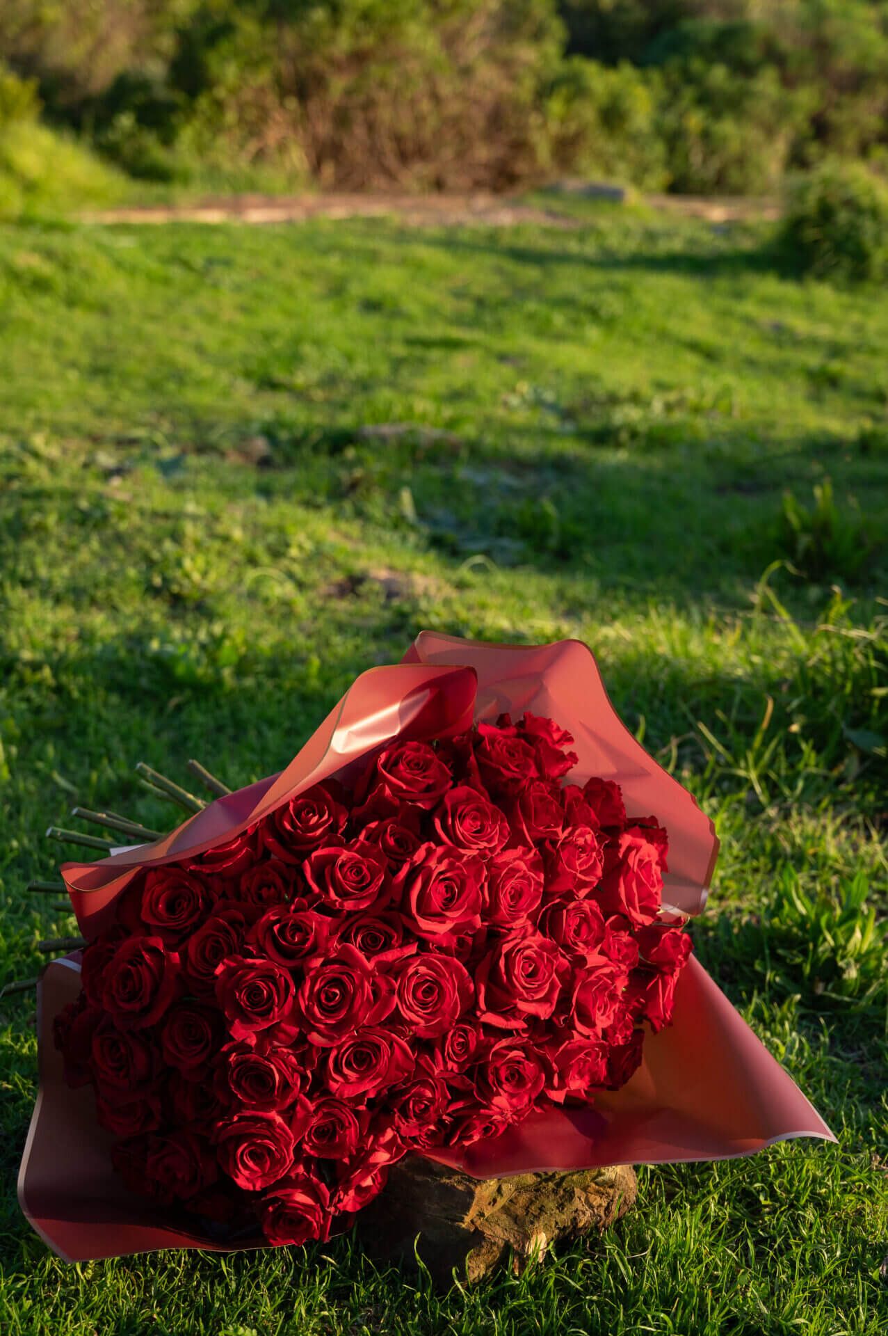 100 red roses