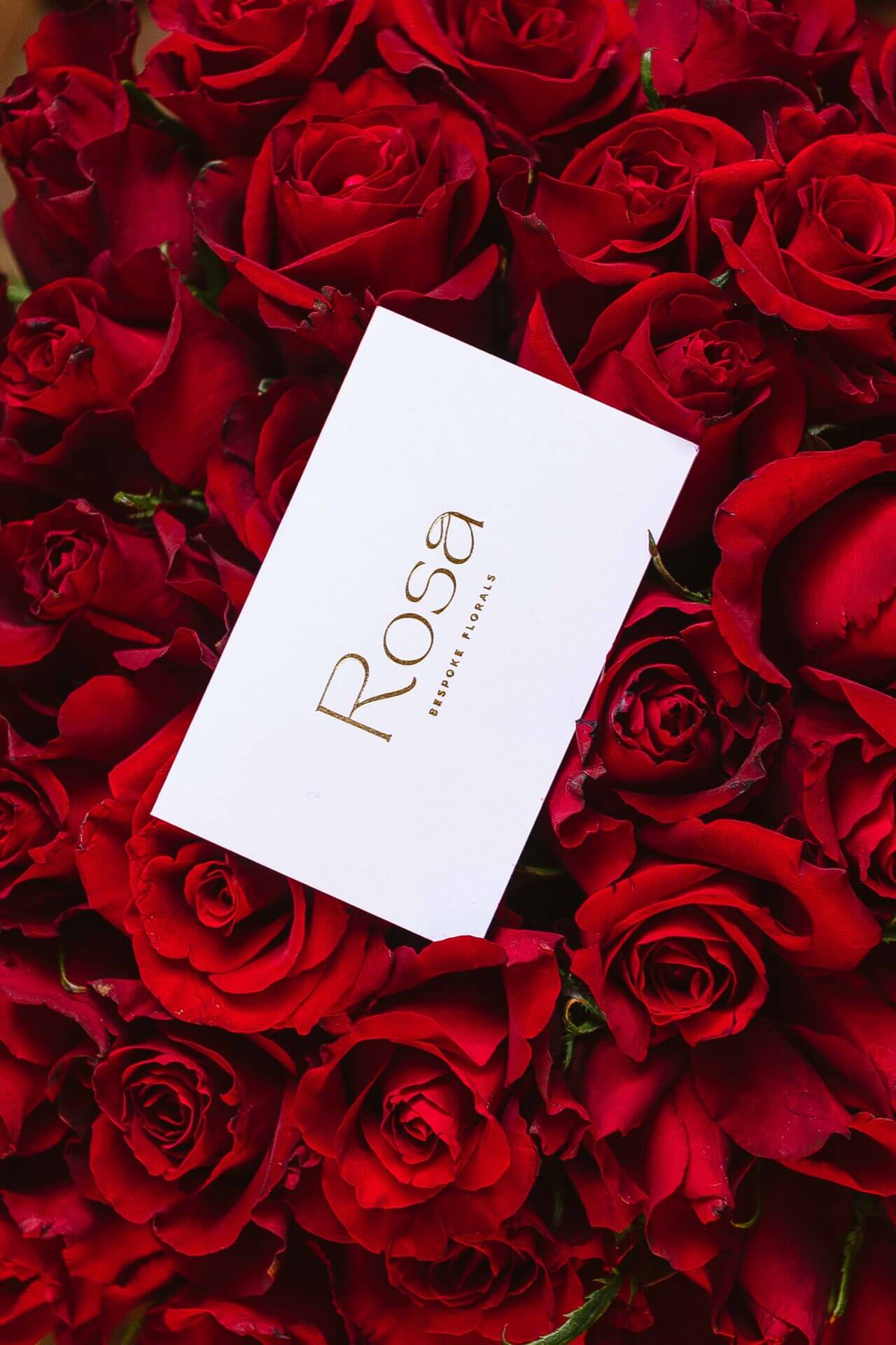 100 red roses - Image 3